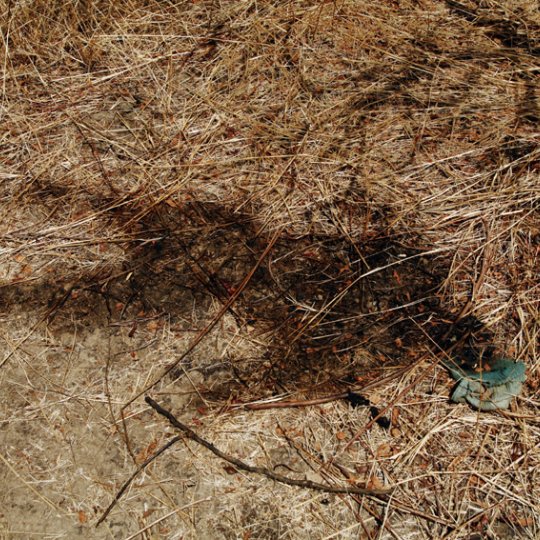 TIM HETHERINGTON: &#039;DIARY&#039; 
