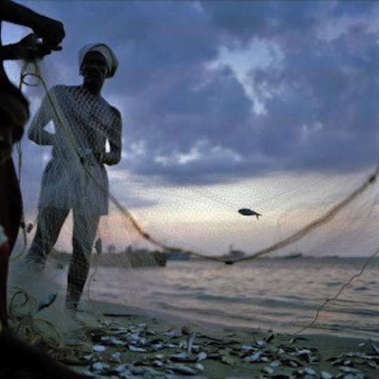 &quot;Documenting Disasters: Ten years on from the Indian Ocean tsunami&quot;
