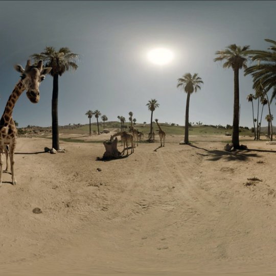 Tim Hetherington Visionary Grant Winners 2014: Eline Jongsma and Kel O’Neill Update. 