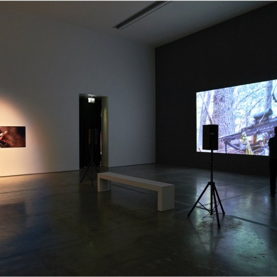 Diary at Visual Carlow